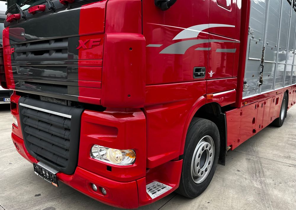 DAF XF 105.460 Euro 5 // Manual // Retarder // Do Żywca / Bydła / Zwierząt / - شاحنة نقل المواشي: صورة 4 DAF XF 105.460 Euro 5 // Manual // Retarder // Do Żywca / Bydła / Zwierząt / - شاحنة نقل المواشي: صورة 4