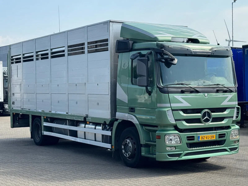 Mercedes-Benz Actros 1832 L 1 - 2 Stock Animal Transport - شاحنة نقل المواشي: صورة 2 Mercedes-Benz Actros 1832 L 1 - 2 Stock Animal Transport - شاحنة نقل المواشي: صورة 2