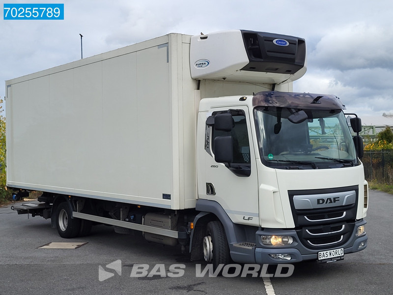 DAF LF 260 4X2 12t Carrier Supra 1150mt Bi-temp Ladebordwand ACC Euro 6 - شاحنة الفريزر: صورة 3 DAF LF 260 4X2 12t Carrier Supra 1150mt Bi-temp Ladebordwand ACC Euro 6 - شاحنة الفريزر: صورة 3