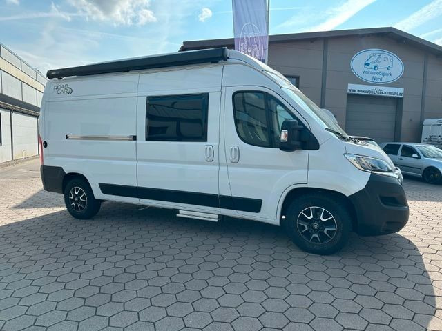 Pössl Roadcar R 600- AUFSTELLDACH-4 SCHLAFPLÄTZE-TOP - كرفان فان: صورة 3 Pössl Roadcar R 600- AUFSTELLDACH-4 SCHLAFPLÄTZE-TOP - كرفان فان: صورة 3