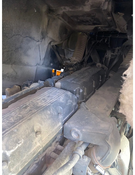 DAF XF 95.430 DAF XF 95.430: صورة 10