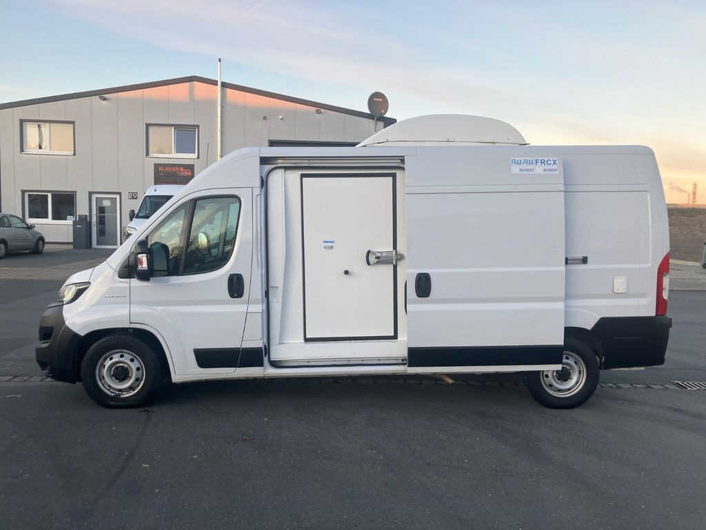 شاحنة مُبرّدة للتوصيل Fiat Ducato Maxi 160 L3H2 Kühlkastenwagen/Isberg/AC: صورة 6