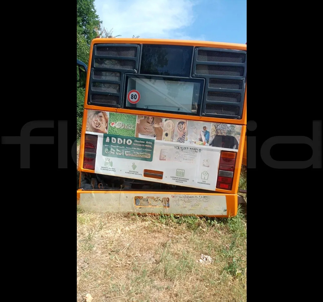 BredaMenarinibus M 240/E3 NU - حافلة المدينة: صورة 3 BredaMenarinibus M 240/E3 NU - حافلة المدينة: صورة 3