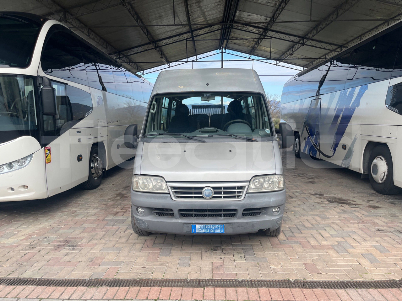 Fiat Ducato Maxi - مركبة كوتش: صورة 2 Fiat Ducato Maxi - مركبة كوتش: صورة 2