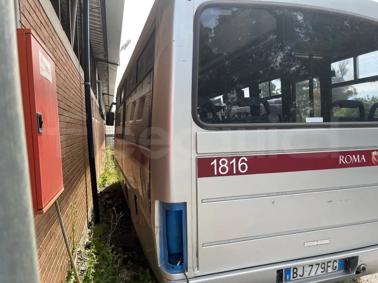 Iveco Cacciamali - حافلة مدرسية: صورة 4 Iveco Cacciamali - حافلة مدرسية: صورة 4