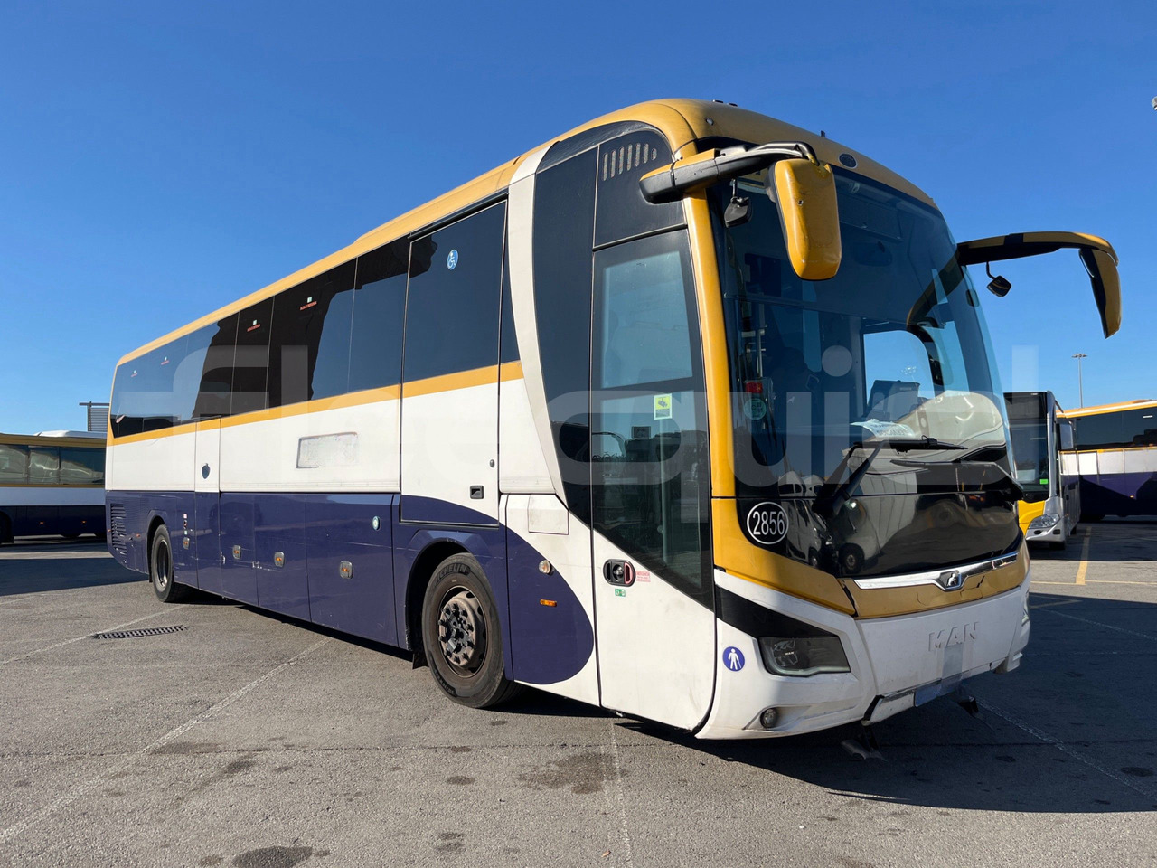 Man Lion's Coach - مركبة كوتش: صورة 1 Man Lion's Coach - مركبة كوتش: صورة 1