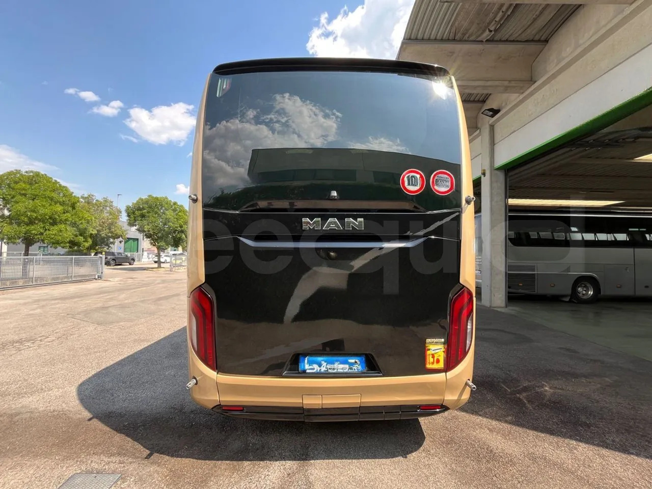 Man Lion's Coach - مركبة كوتش: صورة 5 Man Lion's Coach - مركبة كوتش: صورة 5