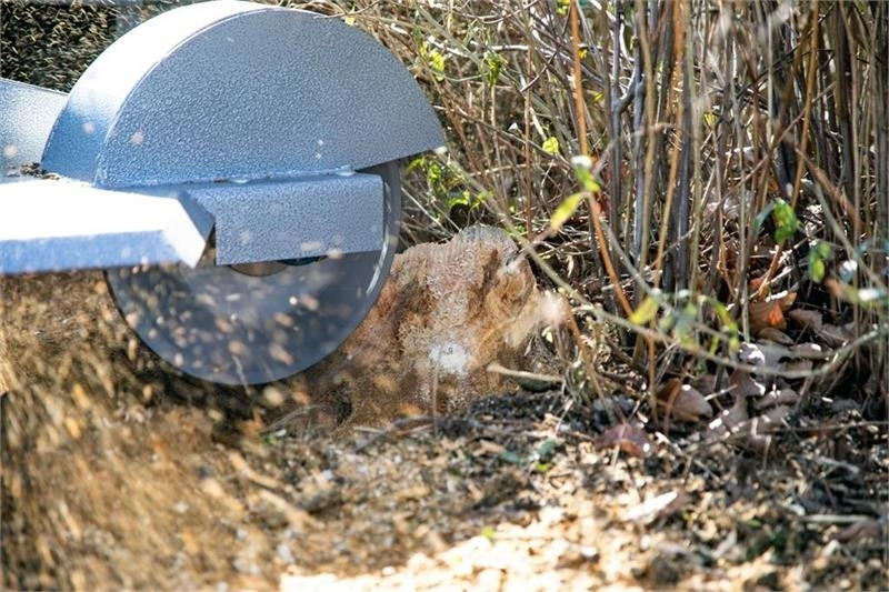 Dk-Tec - آلة تقطيع الخشب: صورة 5 Dk-Tec - آلة تقطيع الخشب: صورة 5