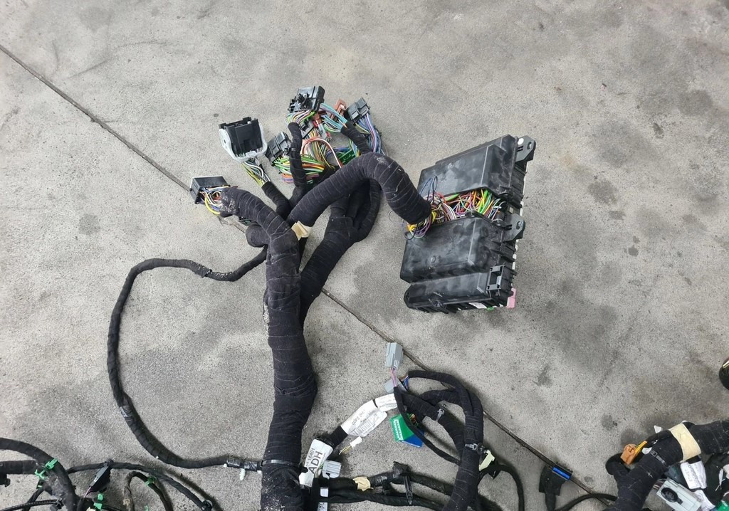 WIĄZKA INSTALACJA KABINY KONSOLI DESKI ROZDZIELCZEJ FORD F-MAX 500 TRUCKS  - تسخير/ تجميع الكابلات: صورة 4 WIĄZKA INSTALACJA KABINY KONSOLI DESKI ROZDZIELCZEJ FORD F-MAX 500 TRUCKS  - تسخير/ تجميع الكابلات: صورة 4