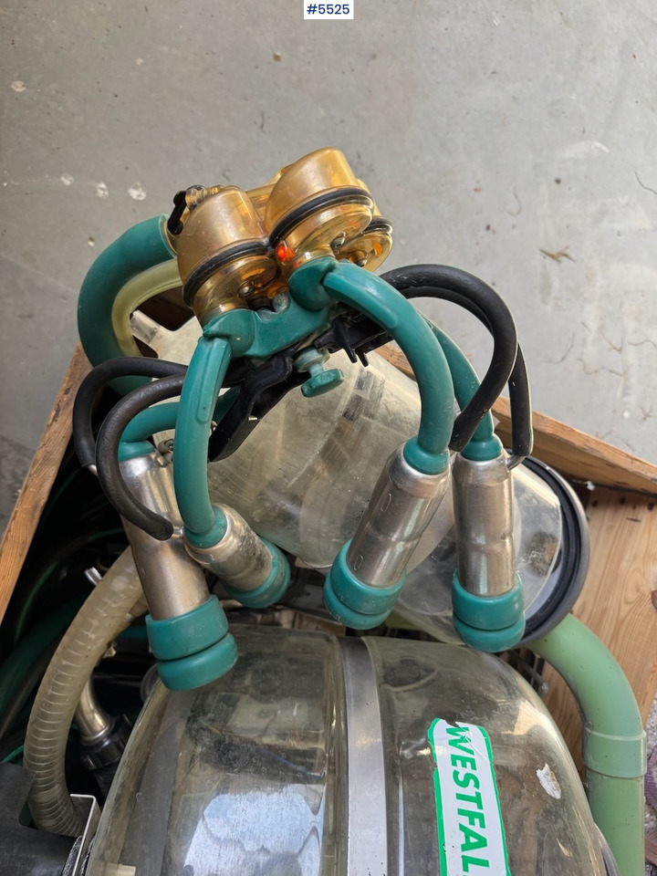 Westfalia Melkeanlegg - معدات الحلب: صورة 4 Westfalia Melkeanlegg - معدات الحلب: صورة 4