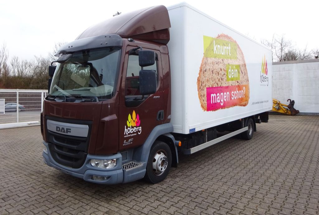 DAF LF 220 Koffer mit Palfinger LBW 4x2 - شاحنة مغلقة الصندوق: صورة 2 DAF LF 220 Koffer mit Palfinger LBW 4x2 - شاحنة مغلقة الصندوق: صورة 2
