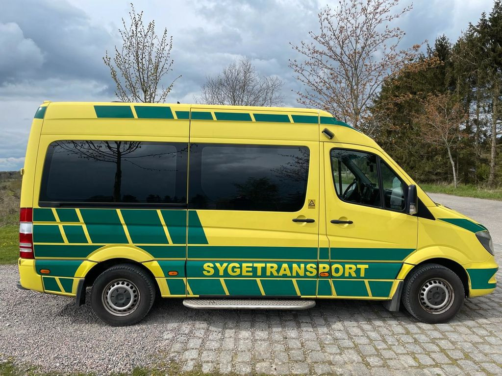 Mercedes-Benz Sprinter 316 CDI Ambulance Electric STRYKER Bed - سيارة اسعاف: صورة 1 Mercedes-Benz Sprinter 316 CDI Ambulance Electric STRYKER Bed - سيارة اسعاف: صورة 1