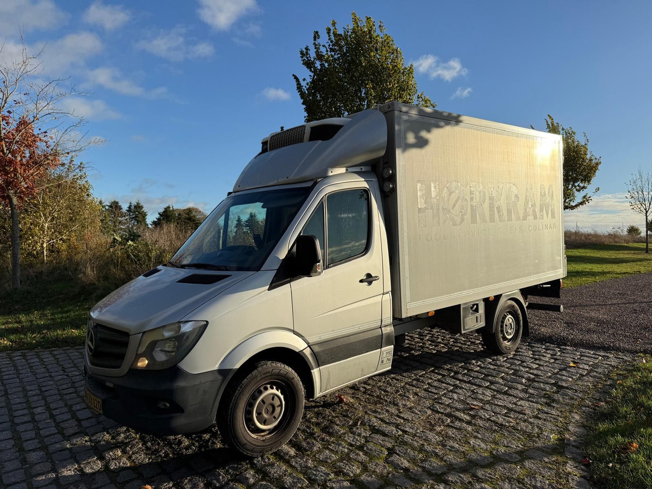 Mercedes-Benz Sprinter II 316 CDI Aut. Refigerator BOX +Lift - شاحنة مُبرّدة للتوصيل: صورة 2 Mercedes-Benz Sprinter II 316 CDI Aut. Refigerator BOX +Lift - شاحنة مُبرّدة للتوصيل: صورة 2