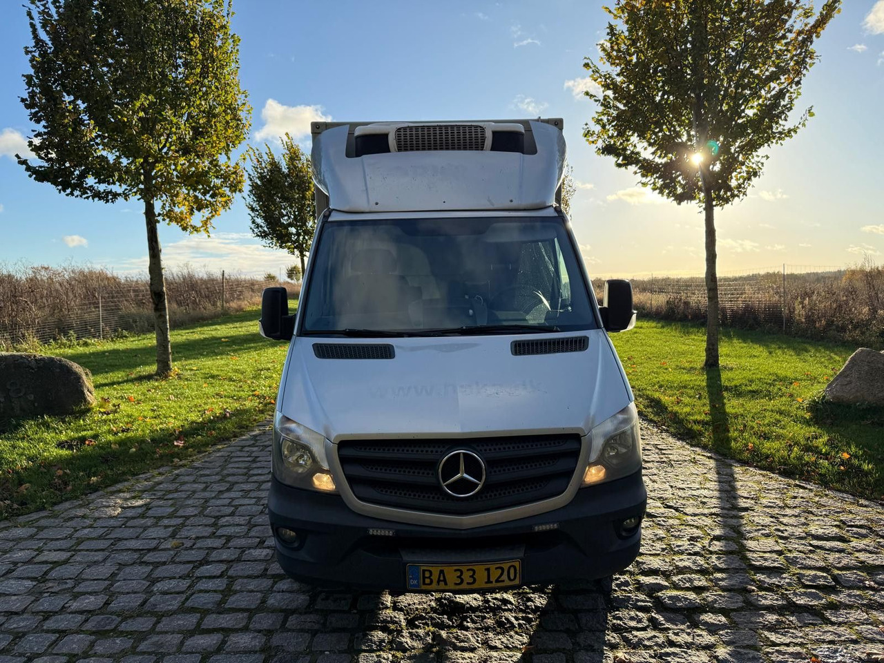 Mercedes-Benz Sprinter II 316 CDI Aut. Refigerator BOX +Lift - شاحنة مُبرّدة للتوصيل: صورة 4 Mercedes-Benz Sprinter II 316 CDI Aut. Refigerator BOX +Lift - شاحنة مُبرّدة للتوصيل: صورة 4