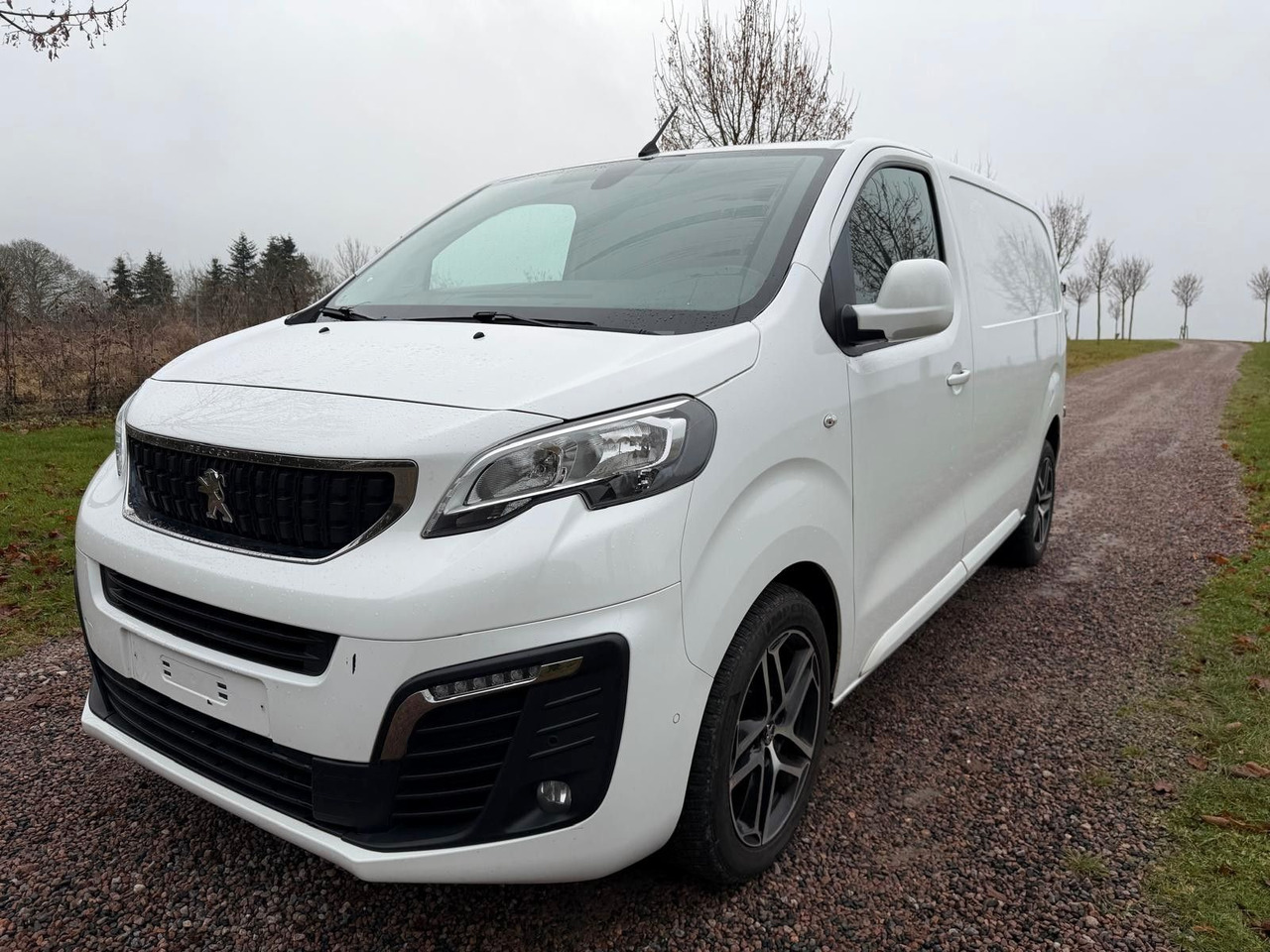 Peugeot Expert Kasten Premium L2 - فان المدمجة: صورة 1 Peugeot Expert Kasten Premium L2 - فان المدمجة: صورة 1