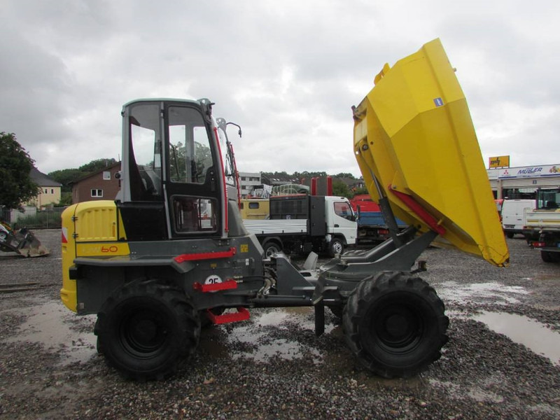 WACKER NEUSON DW 60 Dumper 32.500 EUR - شاحنة قلابة صغيرة: صورة 5 WACKER NEUSON DW 60 Dumper 32.500 EUR - شاحنة قلابة صغيرة: صورة 5