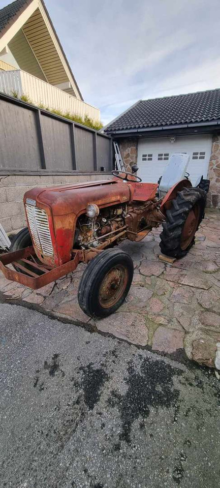 1958 Massey Ferguson MF 35 traktor (rep.-objekt) - جرار: صورة 1 1958 Massey Ferguson MF 35 traktor (rep.-objekt) - جرار: صورة 1