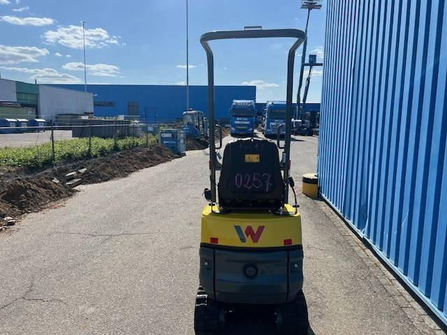 WACKER NEUSON 803 | 2024 - حفارة مُصَّغرة: صورة 4 WACKER NEUSON 803 | 2024 - حفارة مُصَّغرة: صورة 4