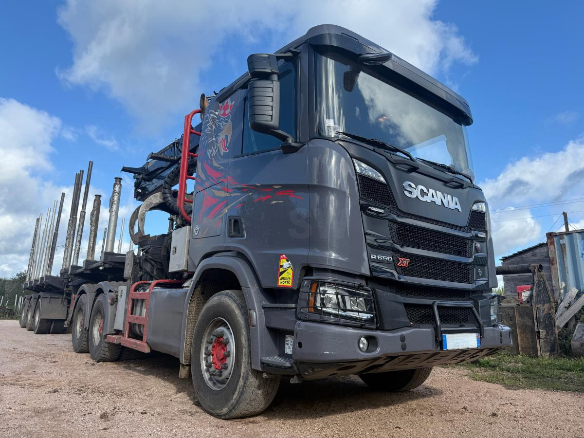 Scania R 650 A6x4HA V8 GRUE PALFINGER EPSILON S300L98 HPLS - وحدة جر: صورة 2 Scania R 650 A6x4HA V8 GRUE PALFINGER EPSILON S300L98 HPLS - وحدة جر: صورة 2