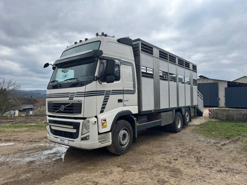 Volvo FH 540 - شاحنة نقل المواشي: صورة 1 Volvo FH 540 - شاحنة نقل المواشي: صورة 1
