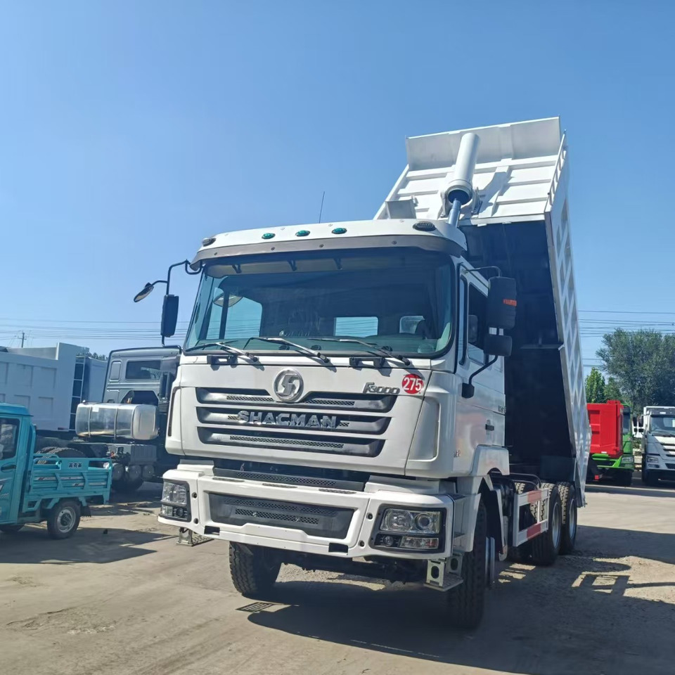 شاحنة قلاب SHACMAN F3000: صورة 6