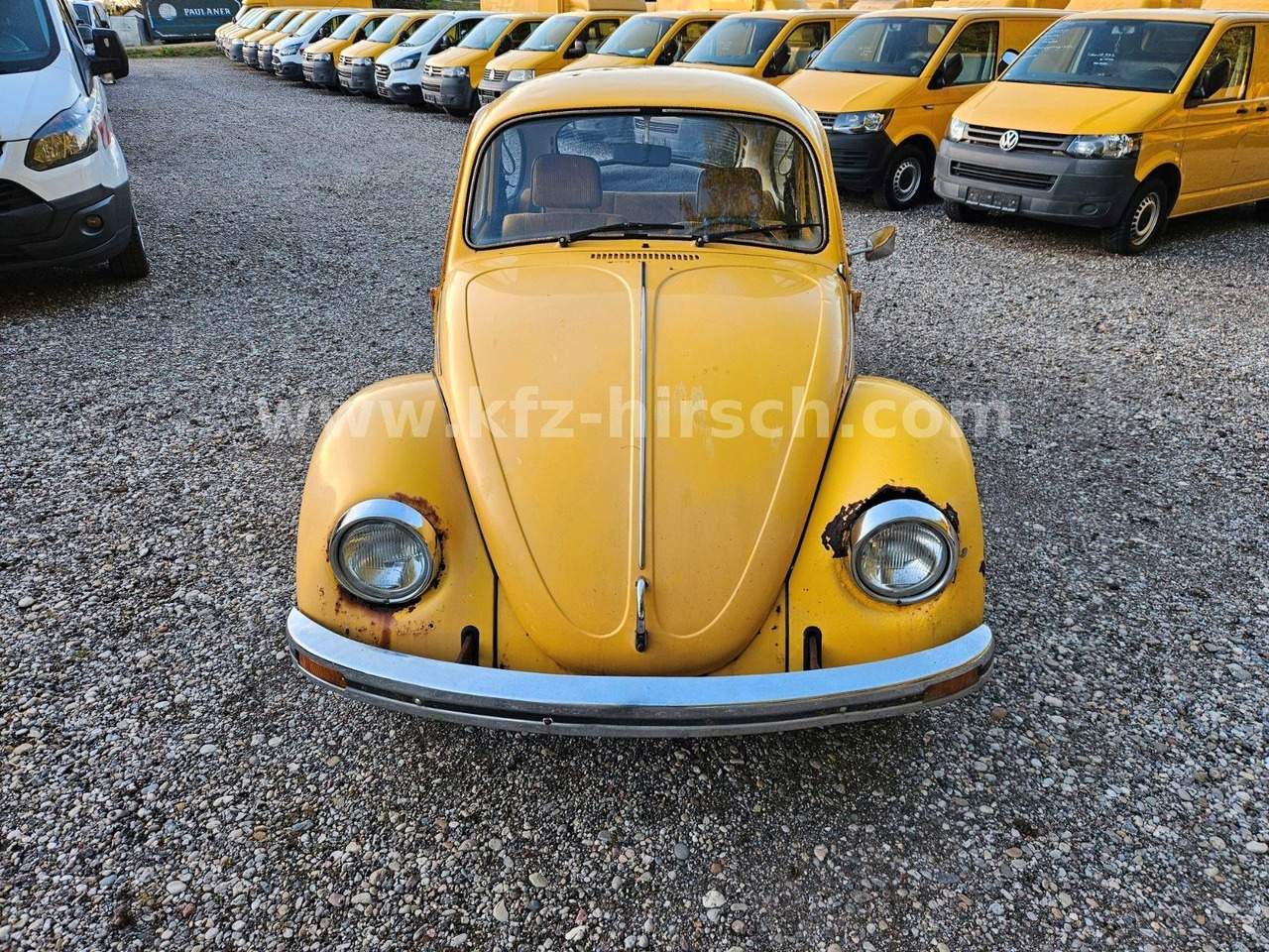 Volkswagen Käfer Sunny Bug Sondermodell 2.Hand - سيدان: صورة 5 Volkswagen Käfer Sunny Bug Sondermodell 2.Hand - سيدان: صورة 5
