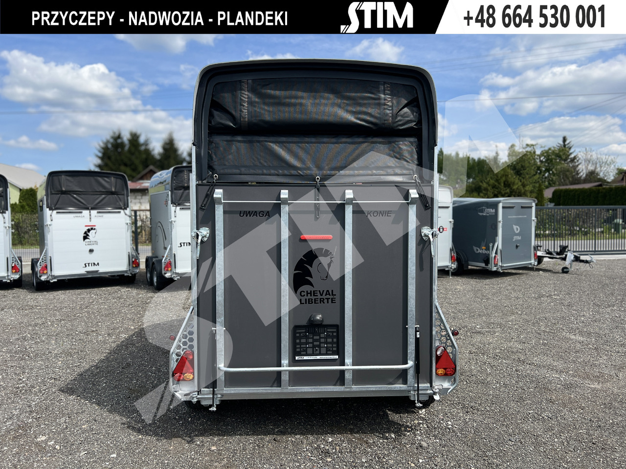 Cheval Liberté GOLD ORIGINS PODŁOGA ALU, BOKI SKLEJKA PPL - عربة نقل خيل: صورة 5 Cheval Liberté GOLD ORIGINS PODŁOGA ALU, BOKI SKLEJKA PPL - عربة نقل خيل: صورة 5