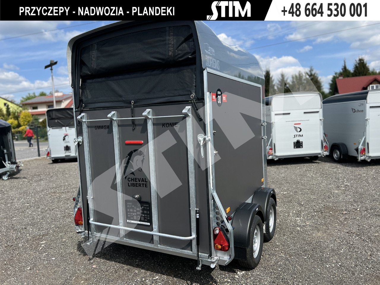 Cheval Liberté GOLD ORIGINS PODŁOGA ALU, BOKI SKLEJKA PPL - عربة نقل خيل: صورة 4 Cheval Liberté GOLD ORIGINS PODŁOGA ALU, BOKI SKLEJKA PPL - عربة نقل خيل: صورة 4