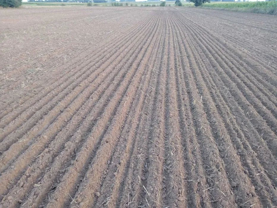 Lemken Karat 9/500 agregat bezorkowy - معدات حرث التربة: صورة 2 Lemken Karat 9/500 agregat bezorkowy - معدات حرث التربة: صورة 2