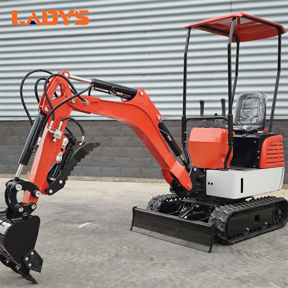 LADYS DY12Pro Mini Excavator Euro 5/Epa Engine Kubota Mini Excavator For Sale - حفارة مُصَّغرة: صورة 2 LADYS DY12Pro Mini Excavator Euro 5/Epa Engine Kubota Mini Excavator For Sale - حفارة مُصَّغرة: صورة 2