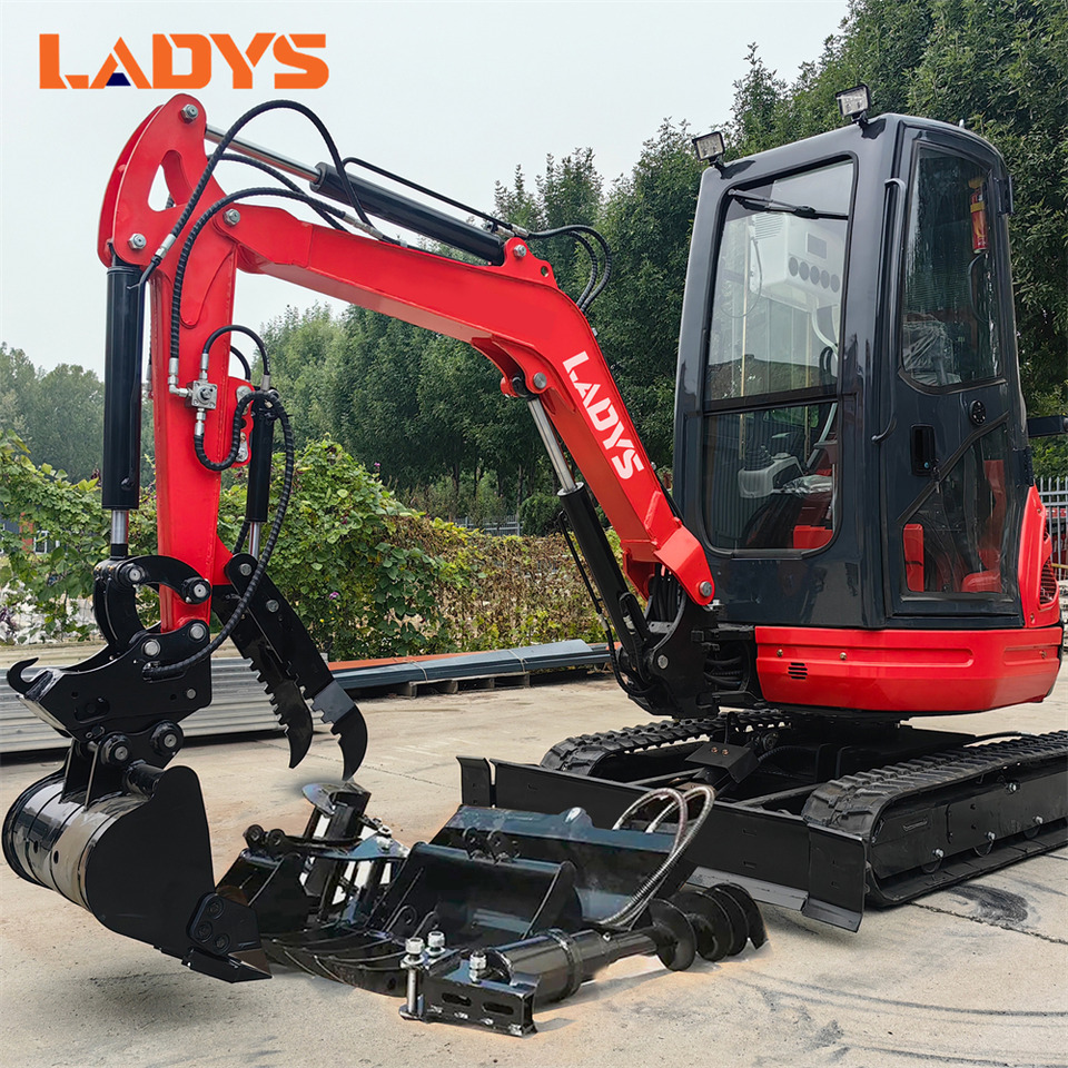 LADYS DY25U Mini Excavator Euro 5/Epa Engine Kubota Mini Excavator For Sale - حفارة مُصَّغرة: صورة 1 LADYS DY25U Mini Excavator Euro 5/Epa Engine Kubota Mini Excavator For Sale - حفارة مُصَّغرة: صورة 1