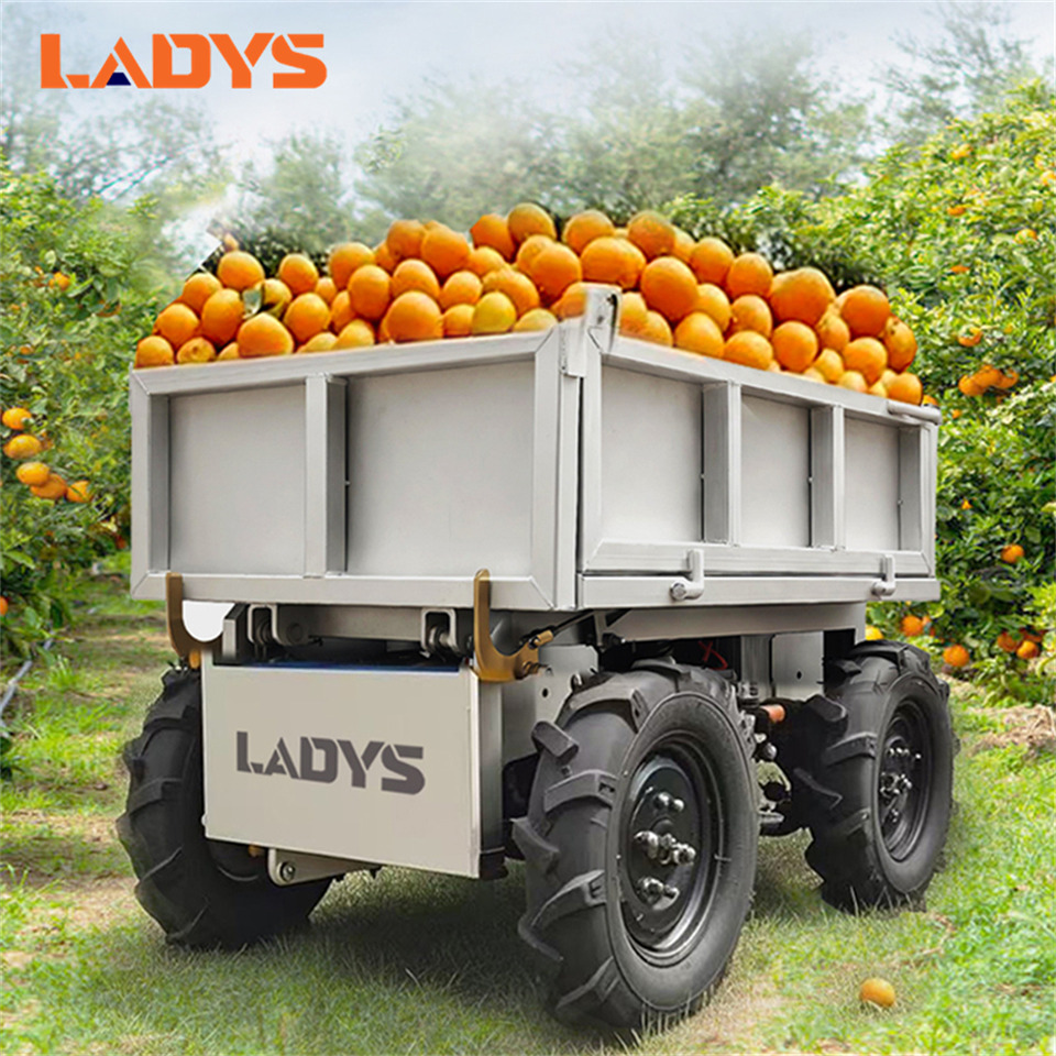 LADYS Electric Remote Control Transporter Agricultural Orchard Farm Electric Utv Material Handling Equipment All Terrain Transport Vehicle - مركبة لجميع التضاريس: صورة 1 LADYS Electric Remote Control Transporter Agricultural Orchard Farm Electric Utv Material Handling Equipment All Terrain Transport Vehicle - مركبة لجميع التضاريس: صورة 1