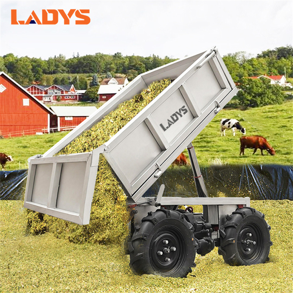 LADYS Electric Remote Control Transporter Agricultural Orchard Farm Electric Utv Material Handling Equipment All Terrain Transport Vehicle - مركبة لجميع التضاريس: صورة 3 LADYS Electric Remote Control Transporter Agricultural Orchard Farm Electric Utv Material Handling Equipment All Terrain Transport Vehicle - مركبة لجميع التضاريس: صورة 3