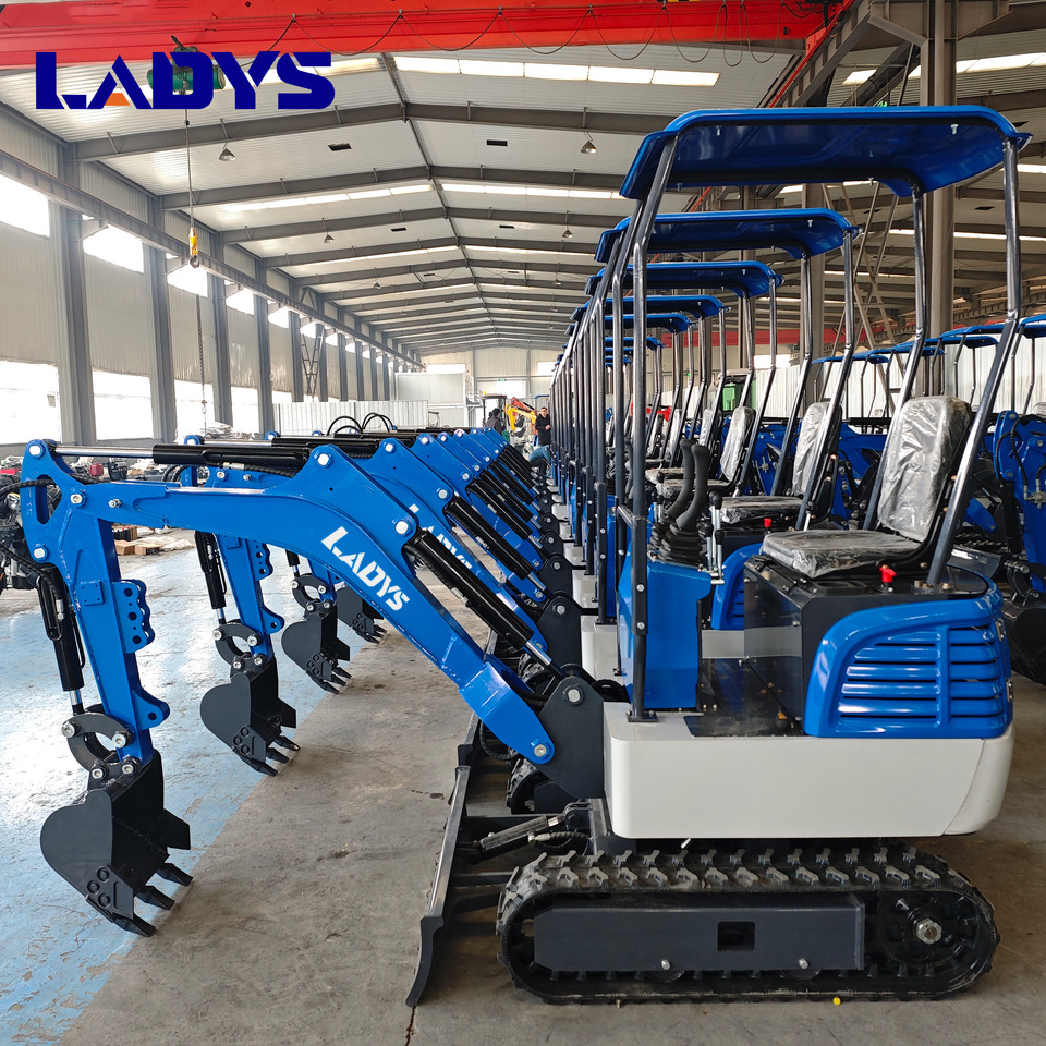 Free Shipping Mini Excavator Bagger Pelle Miniexcavadora 1 2 3.5 Ton CE/EPA/EURO 5 Kubota Engine Diesel/Electric Mini Excavators For Sale - حفار زحاف: صورة 1 Free Shipping Mini Excavator Bagger Pelle Miniexcavadora 1 2 3.5 Ton CE/EPA/EURO 5 Kubota Engine Diesel/Electric Mini Excavators For Sale - حفار زحاف: صورة 1