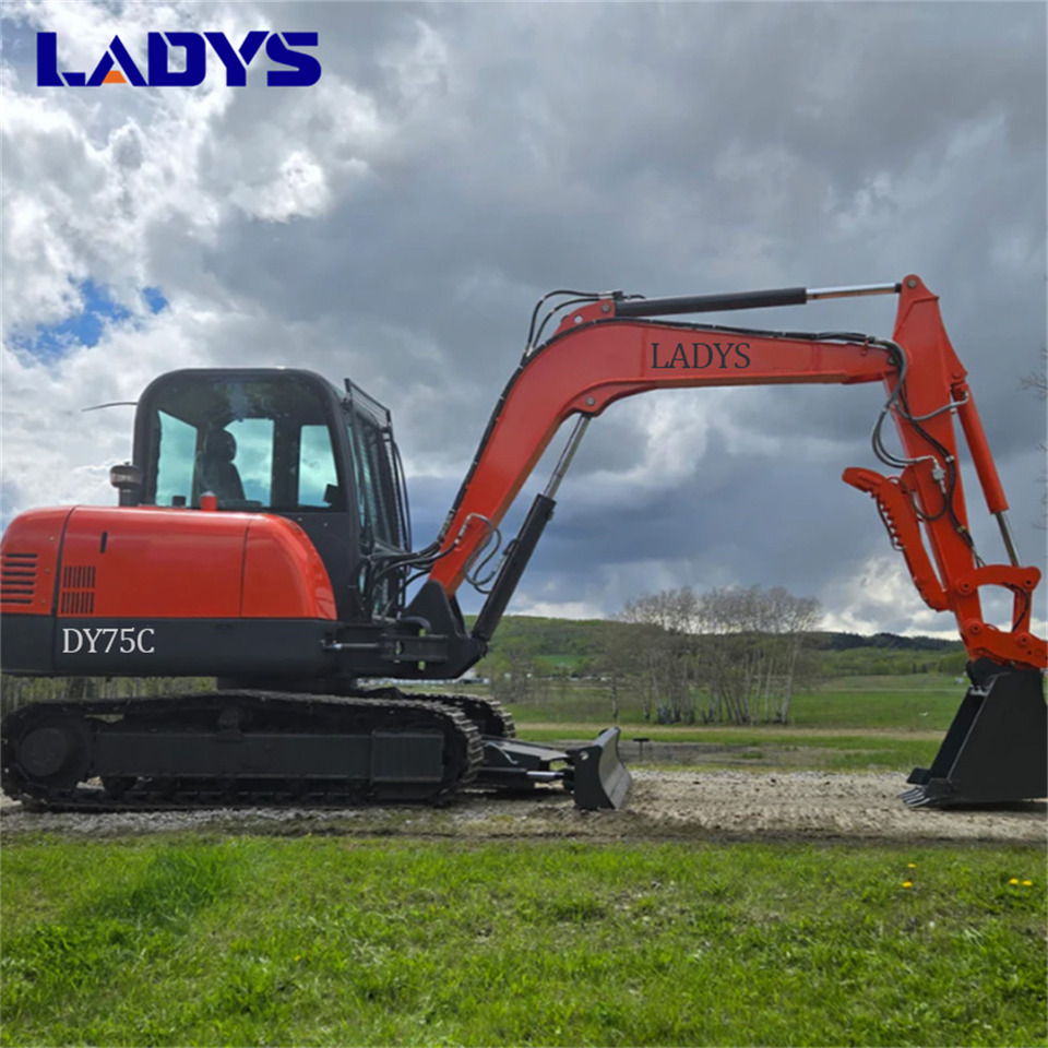 LADYS DY75C Small Excavator Euro 5/Epa Yanmar Engine Small Excavator Crawler Excavator For Sale - حفار زحاف: صورة 1 LADYS DY75C Small Excavator Euro 5/Epa Yanmar Engine Small Excavator Crawler Excavator For Sale - حفار زحاف: صورة 1