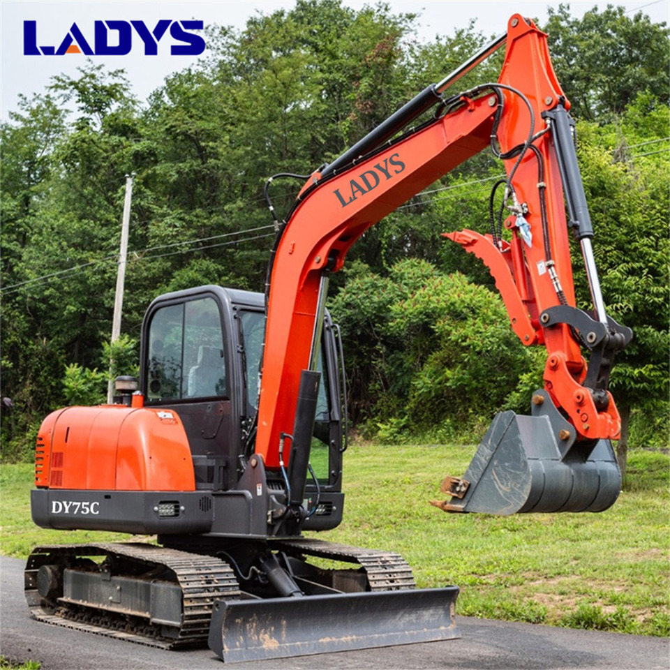 LADYS DY75C Small Excavator Euro 5/Epa Yanmar Engine Small Excavator Crawler Excavator For Sale - حفار زحاف: صورة 4 LADYS DY75C Small Excavator Euro 5/Epa Yanmar Engine Small Excavator Crawler Excavator For Sale - حفار زحاف: صورة 4