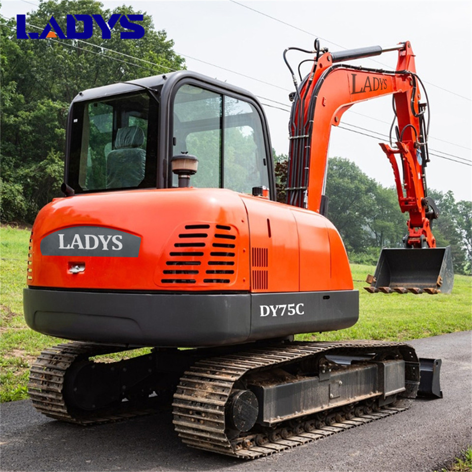 LADYS DY75C Small Excavator Euro 5/Epa Yanmar Engine Small Excavator Crawler Excavator For Sale - حفار زحاف: صورة 3 LADYS DY75C Small Excavator Euro 5/Epa Yanmar Engine Small Excavator Crawler Excavator For Sale - حفار زحاف: صورة 3