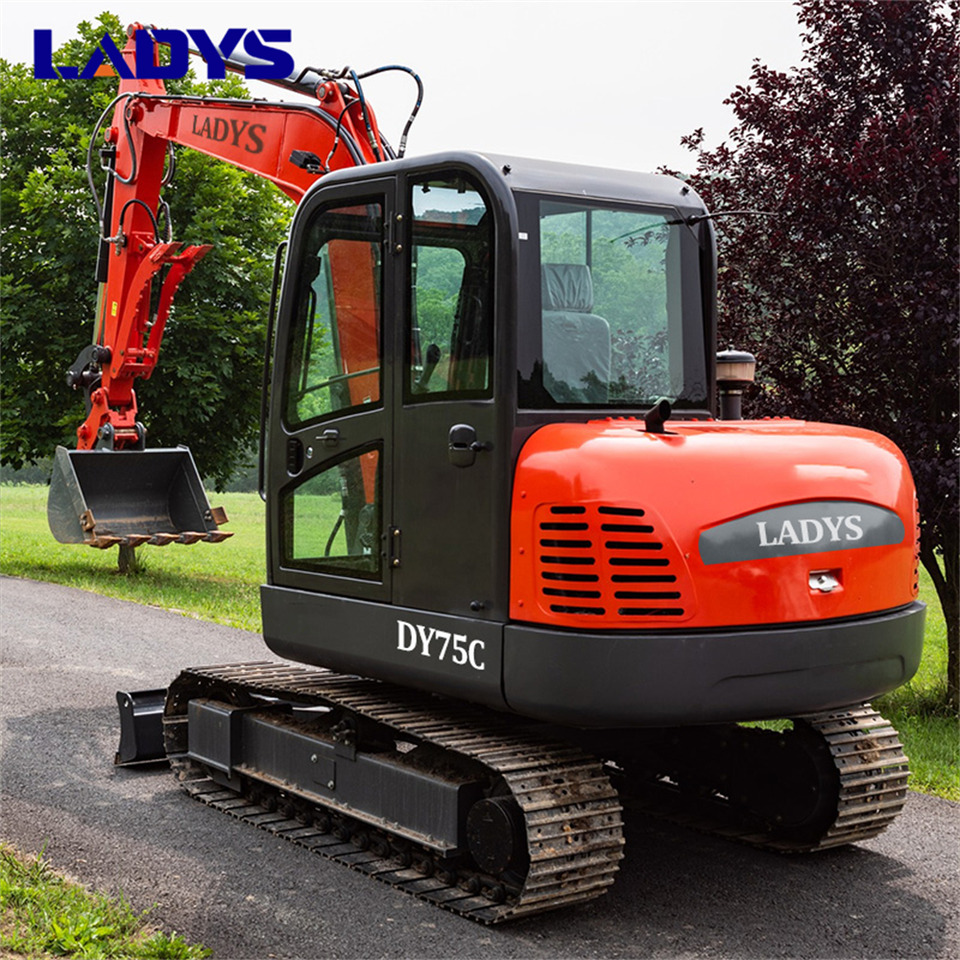 LADYS DY75C Small Excavator Euro 5/Epa Yanmar Engine Small Excavator Crawler Excavator For Sale - حفار زحاف: صورة 5 LADYS DY75C Small Excavator Euro 5/Epa Yanmar Engine Small Excavator Crawler Excavator For Sale - حفار زحاف: صورة 5