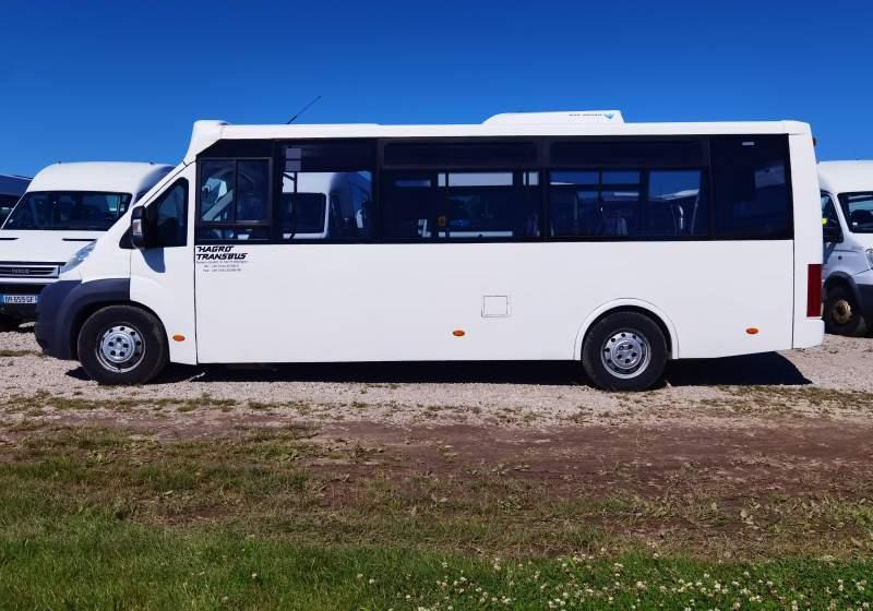 Fiat Ducato miejski, przewóz osób niepełnosprawnych - حافلة المدينة: صورة 5 Fiat Ducato miejski, przewóz osób niepełnosprawnych - حافلة المدينة: صورة 5