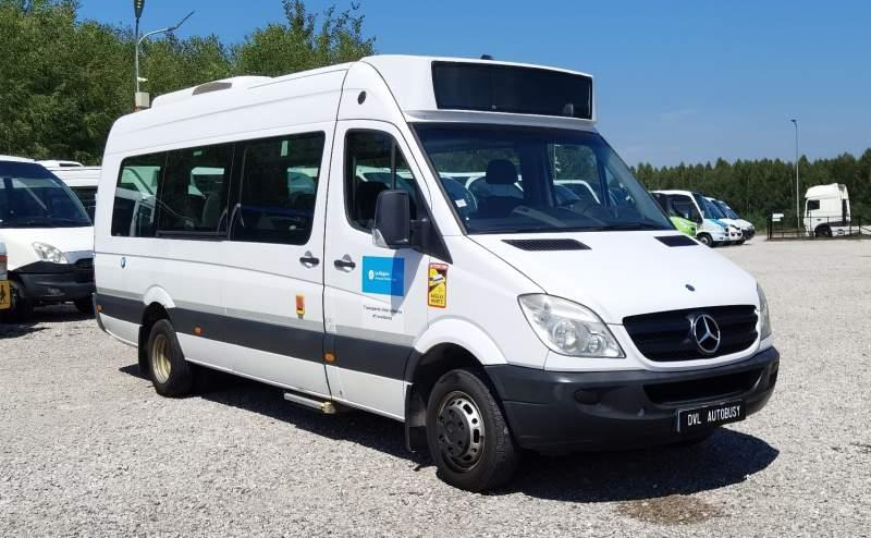 حافلة سوبربان Mercedes-Benz Sprinter 516 *2x klimatyzacja*webasto* Euro 5: صورة 1