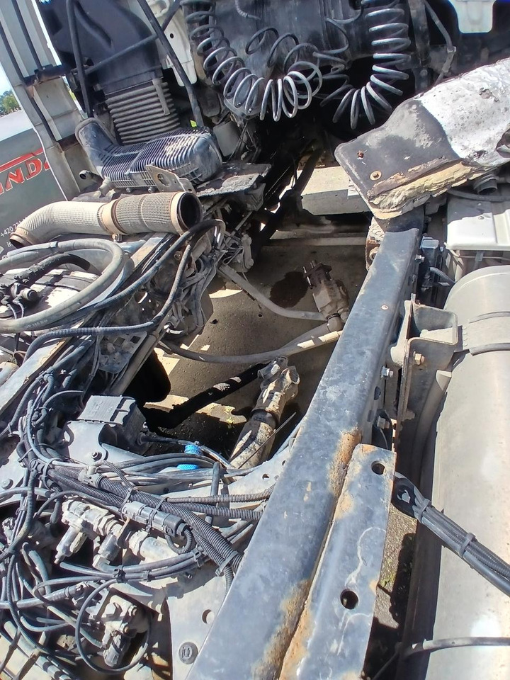 MAN TGX - وحدة جر: صورة 5 MAN TGX - وحدة جر: صورة 5