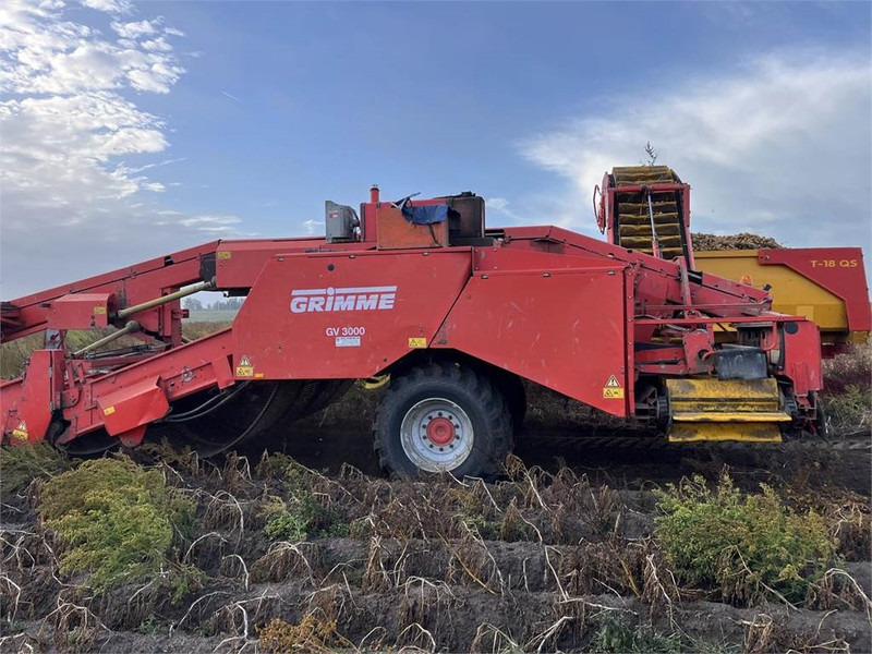 Grimme GV 3000 - حصادة البطاطس: صورة 3 Grimme GV 3000 - حصادة البطاطس: صورة 3