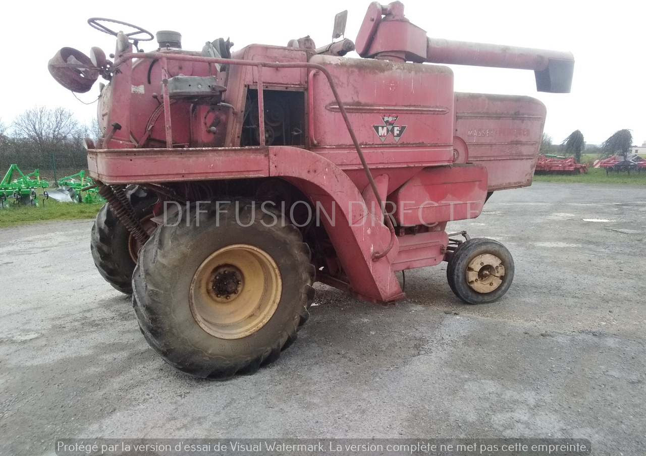 MASSEY FERGUSON MOISSONNEUSE BATTEUSE 500 - حصادة: صورة 2 MASSEY FERGUSON MOISSONNEUSE BATTEUSE 500 - حصادة: صورة 2