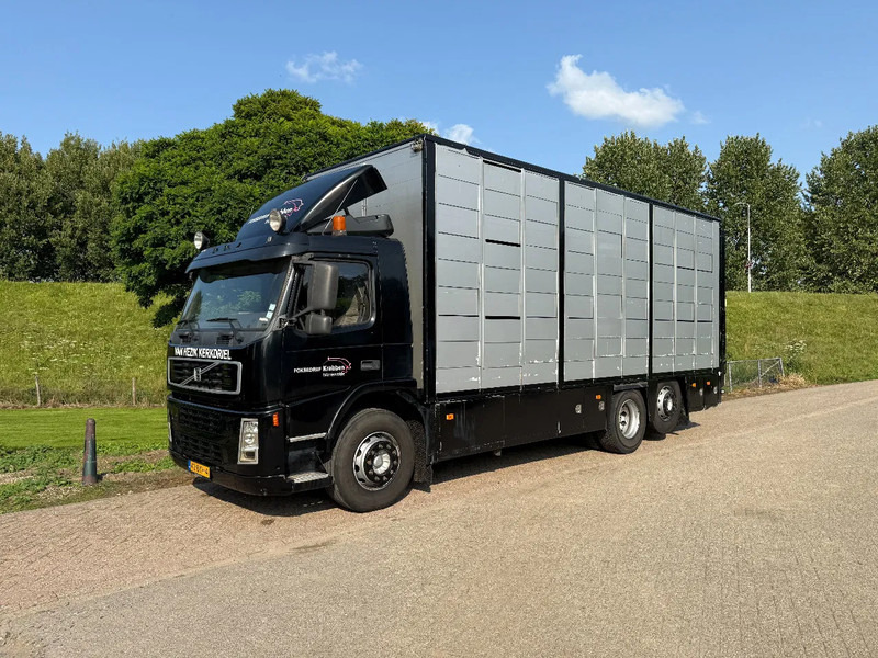 Volvo FM 300 Livestock Cuppers 3 laags 6x2 - شاحنة نقل المواشي: صورة 3 Volvo FM 300 Livestock Cuppers 3 laags 6x2 - شاحنة نقل المواشي: صورة 3