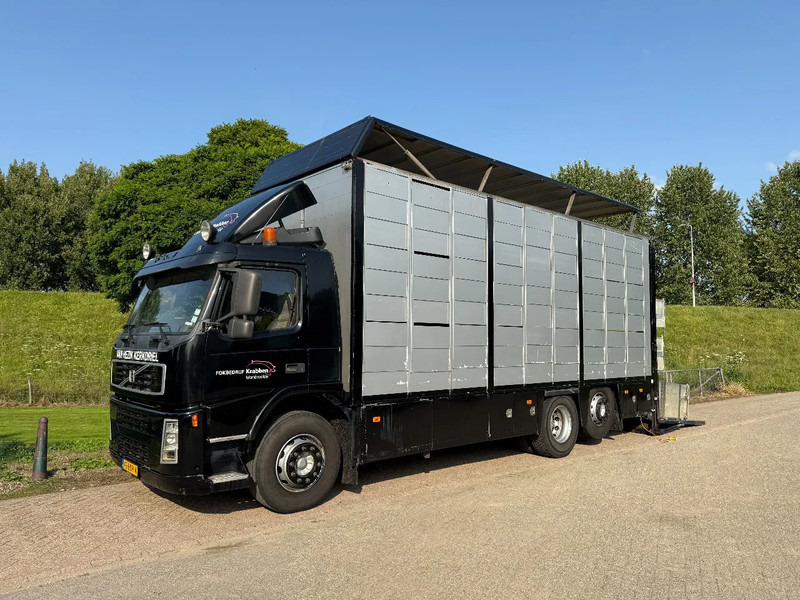 Volvo FM 300 Livestock Cuppers 3 laags 6x2 - شاحنة نقل المواشي: صورة 1 Volvo FM 300 Livestock Cuppers 3 laags 6x2 - شاحنة نقل المواشي: صورة 1