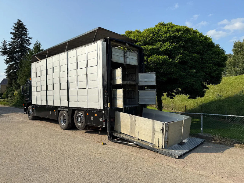 Volvo FM 300 Livestock Cuppers 3 laags 6x2 - شاحنة نقل المواشي: صورة 2 Volvo FM 300 Livestock Cuppers 3 laags 6x2 - شاحنة نقل المواشي: صورة 2