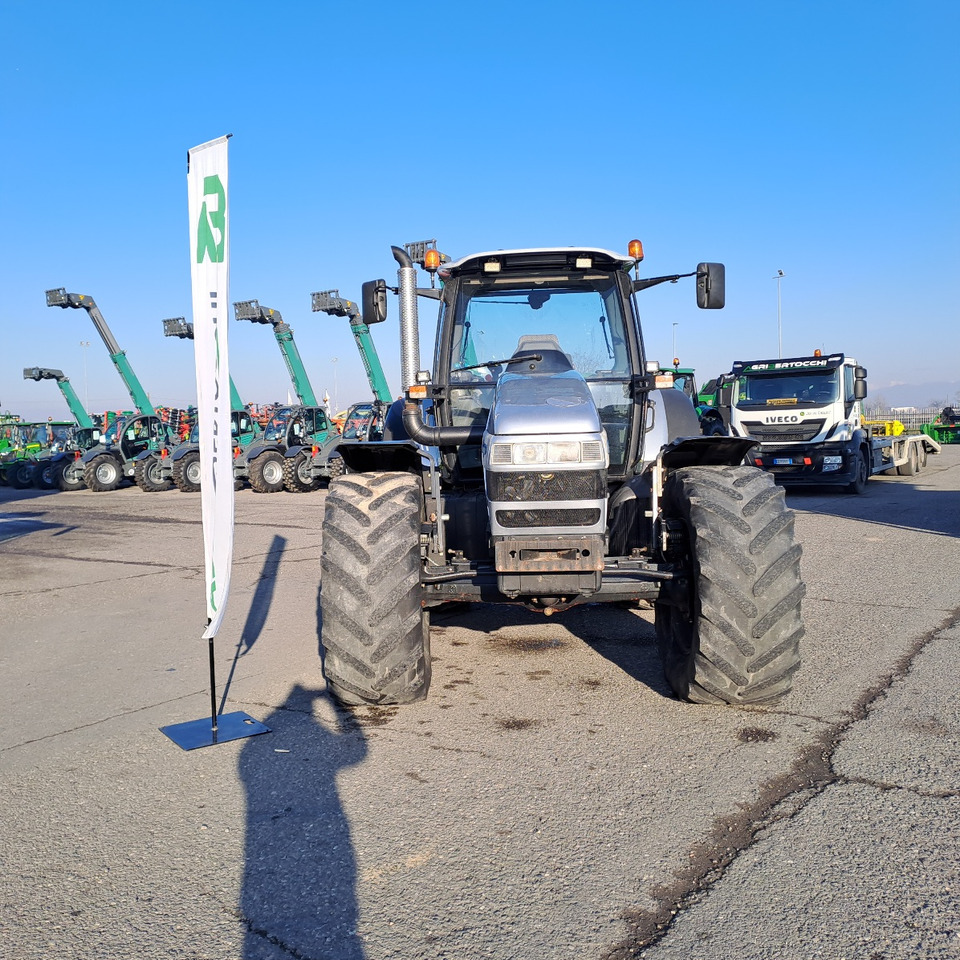 LAMBORGHINI CHAMPION 135 - ASTA AGRIBERTOCCHI - جرار: صورة 2 LAMBORGHINI CHAMPION 135 - ASTA AGRIBERTOCCHI - جرار: صورة 2