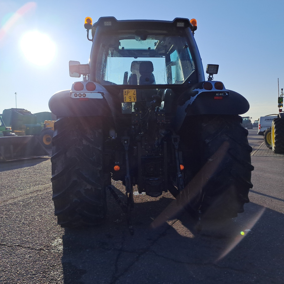 LAMBORGHINI CHAMPION 135 - ASTA AGRIBERTOCCHI - جرار: صورة 3 LAMBORGHINI CHAMPION 135 - ASTA AGRIBERTOCCHI - جرار: صورة 3