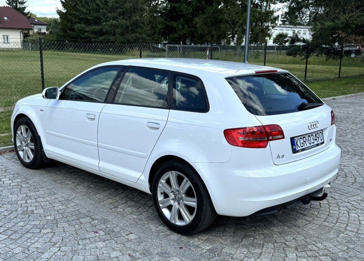 Audi A3 1.6 TDI 105KM Bezwypadkowy potwierdzony przebieg AUTO BARDZO ZADBANE - سيارة: صورة 4 Audi A3 1.6 TDI 105KM Bezwypadkowy potwierdzony przebieg AUTO BARDZO ZADBANE - سيارة: صورة 4