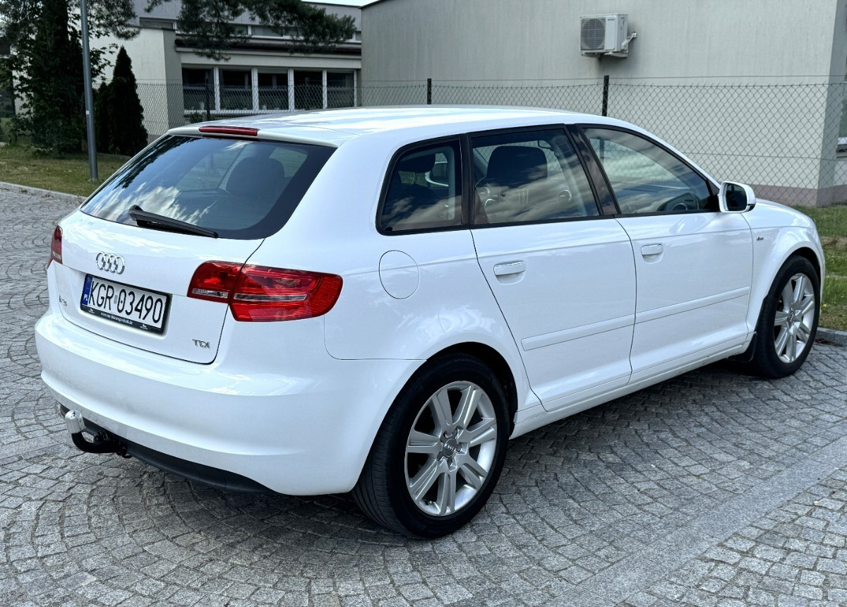 Audi A3 1.6 TDI 105KM Bezwypadkowy potwierdzony przebieg AUTO BARDZO ZADBANE - سيارة: صورة 3 Audi A3 1.6 TDI 105KM Bezwypadkowy potwierdzony przebieg AUTO BARDZO ZADBANE - سيارة: صورة 3